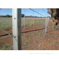 Flat Mesh Surface Electro Galvanized Carbon Steel Wire Mesh Farm Field Fence For Animal